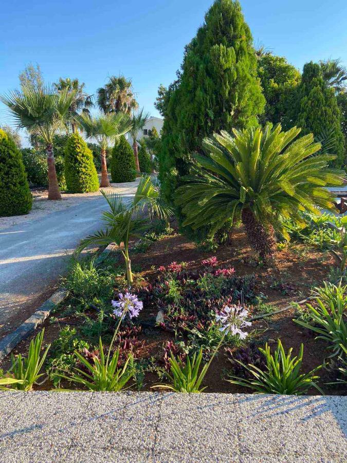 Cocoon Luxury Villa In Coral Bay-3 Min To Beach Peyia Extérieur photo